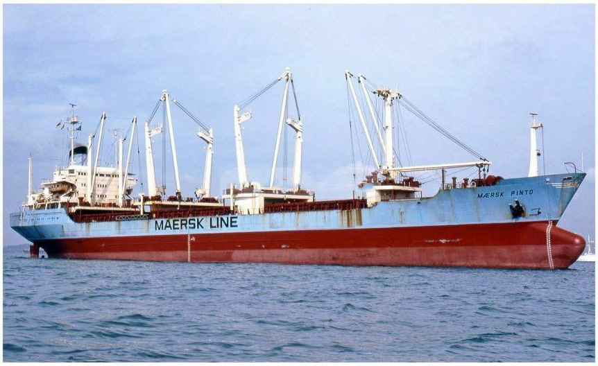 Maersk Pinto ex Maersk Mango